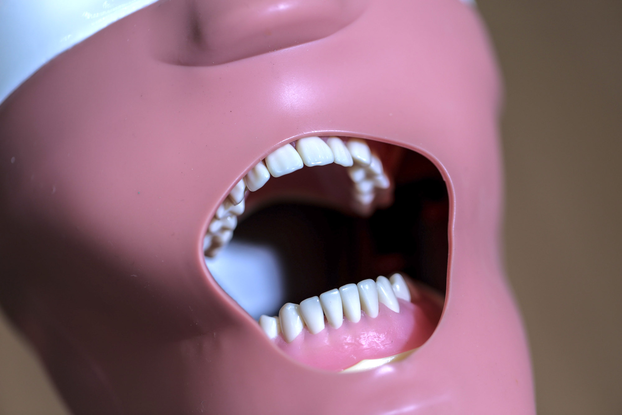 MasterClass In Veneering By The Dental Academy Malaysia Dental