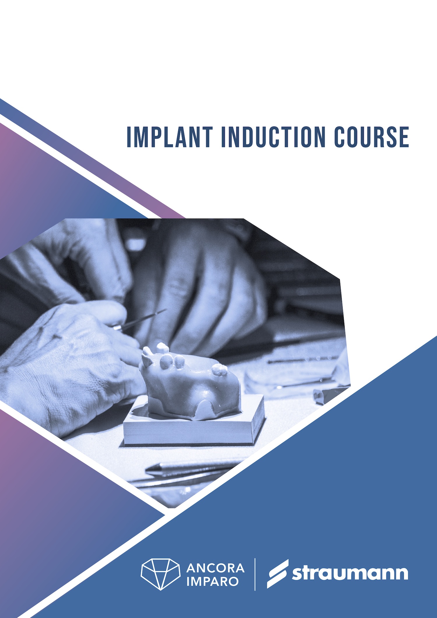 Staumann IMPLANT INDUCTION course-1