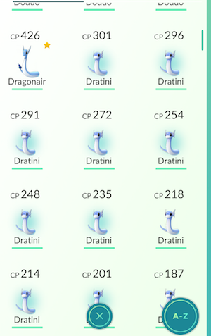 Dratini-nest